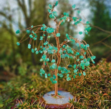 Load image into Gallery viewer, Green Aventurine Willow Tree
