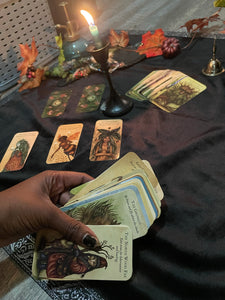 Fairy Readings