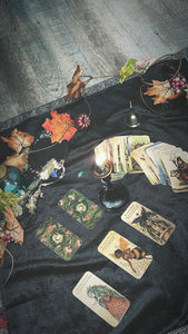 Fairy Readings